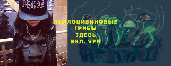 скорость Богородск